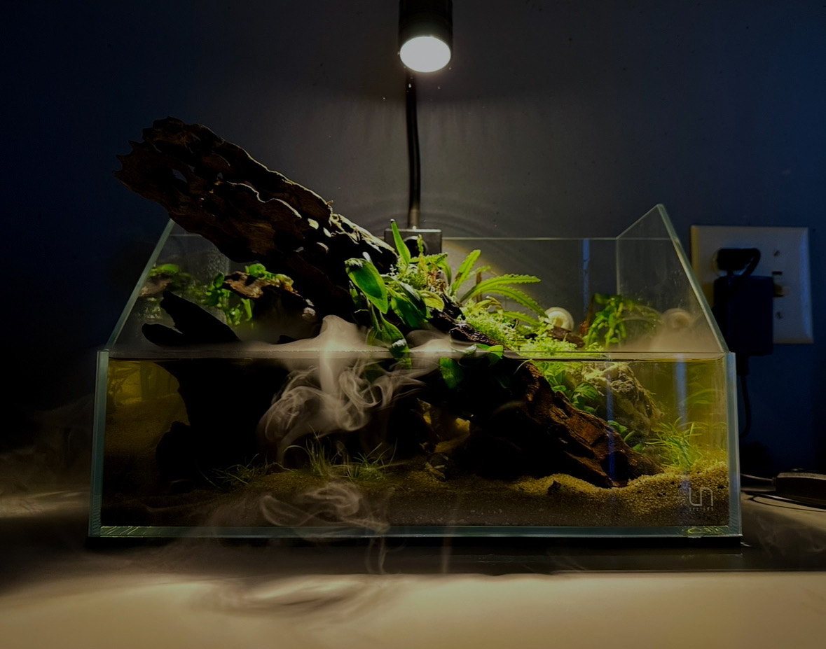 Aquascaping